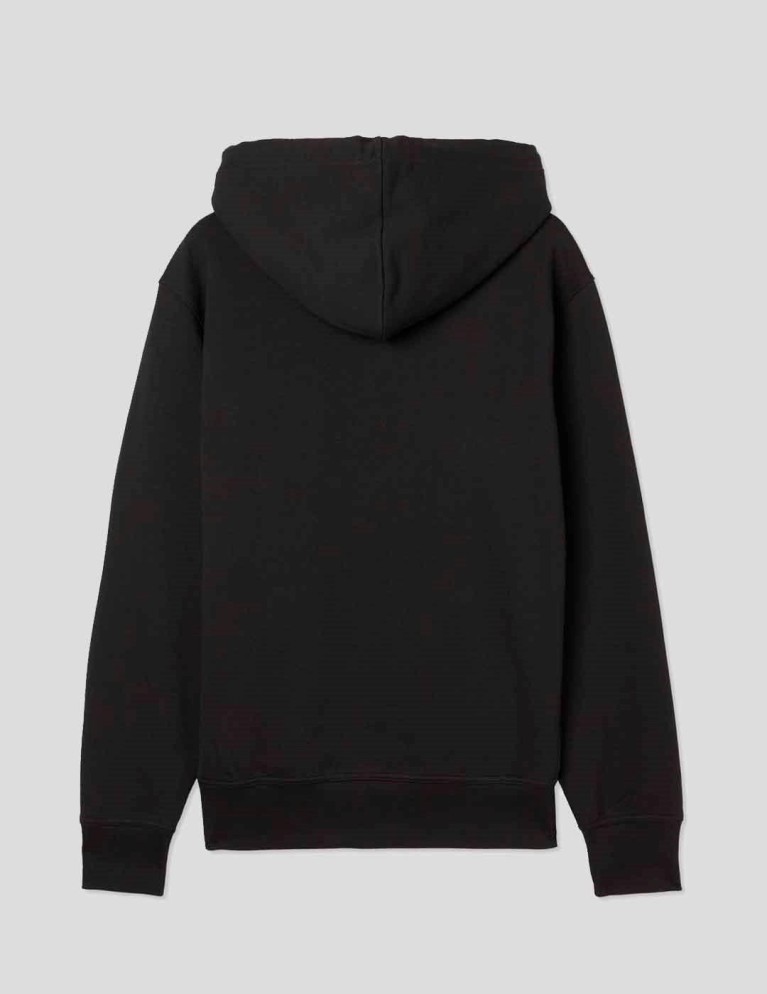 Sudadeira DICKIES mount vista hoodie black